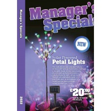 601931 Solar Powered Petal Lights - MultiColoured