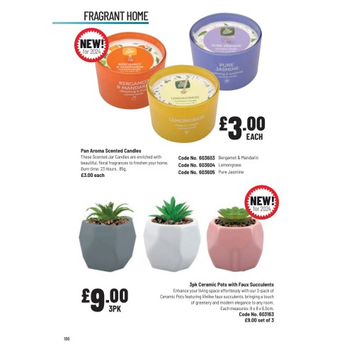 603163 3pk Ceramic Pots with Faux Succulents