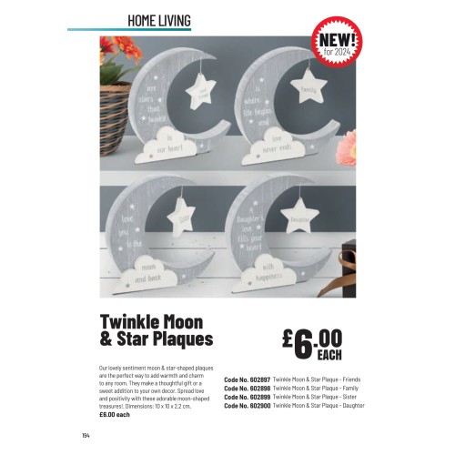 602899 Twinkle Moon & Star Plaque - Sister