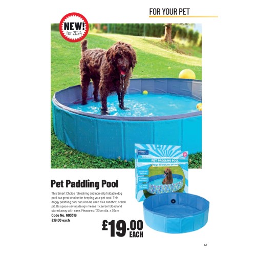 603319 Pet Paddling Pool