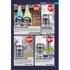 BB1013 Traditional Window Cleaner