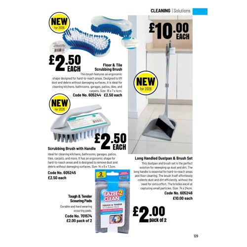 605245 Scrubbing Brush with Handle