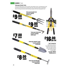 603349 Telescopic Handle Fork