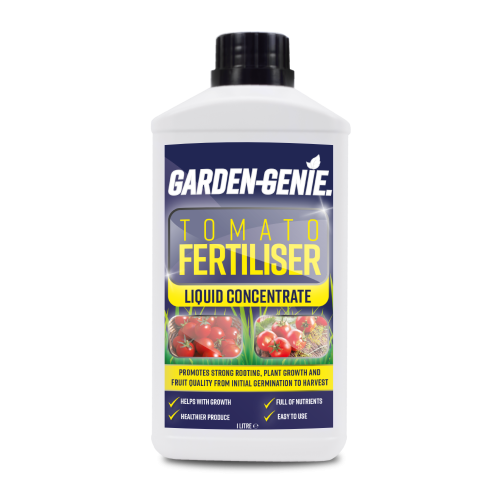 BB1129 Tomato Plant Fertiliser