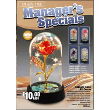 HL25 Home Living catalogue x 25