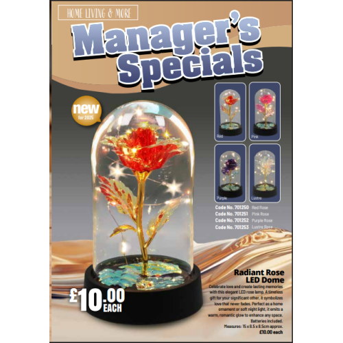 HL25 Home Living catalogue x 25