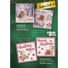 900301 Pack of 12 cards in 2 designs Christmas Robin Cards