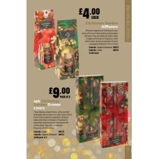 901173 Christmas Garden Diffusers Apple Cinnamon