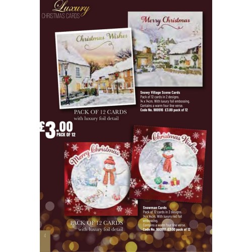 900916 12pk Luxury Christmas Cards Snowy Village