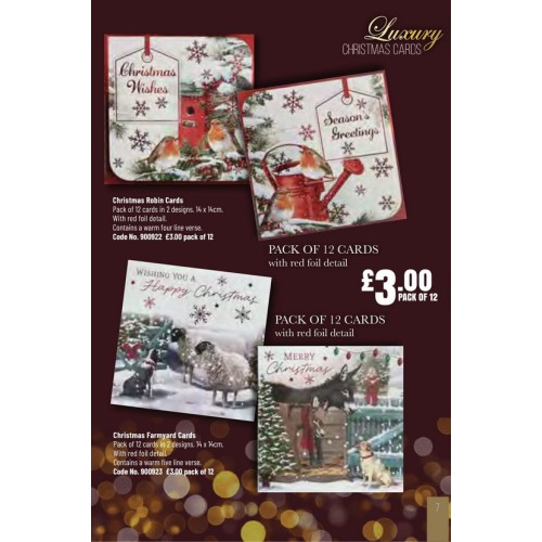 900922 12pk Luxury Christmas Cards Christmas Robin