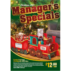 CH25 Christmas catalogue x 25